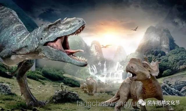 “龙鳞鲤”奇观：化龙传说与现实价值对比